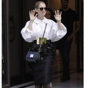 Celine Dion Minuet Flap Closure Handbag Bag